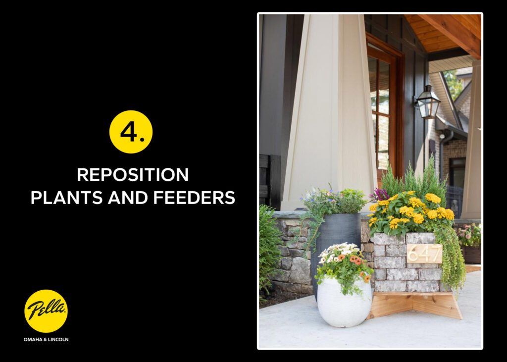reposition plants