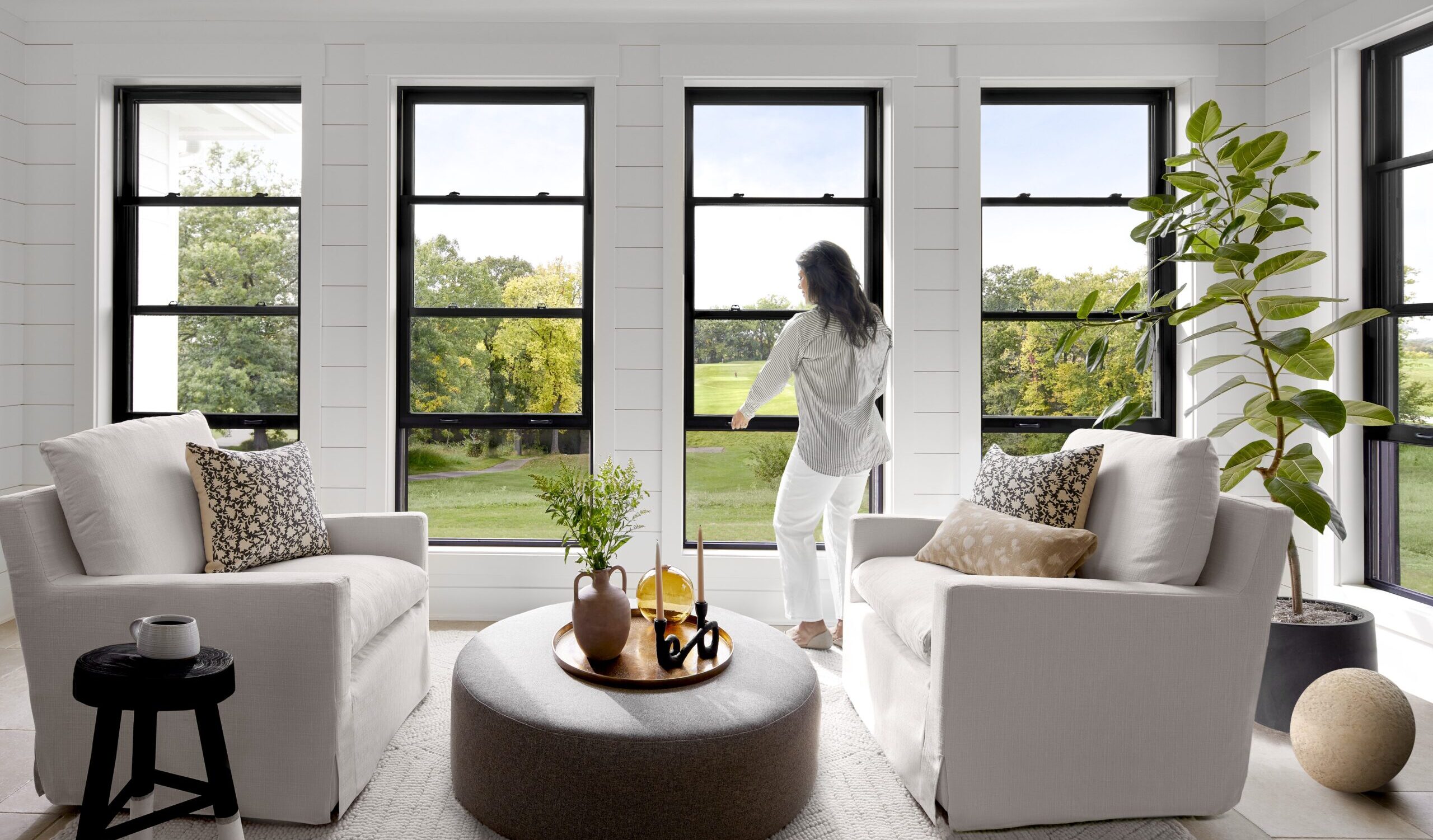 Black Double-Hung Windows