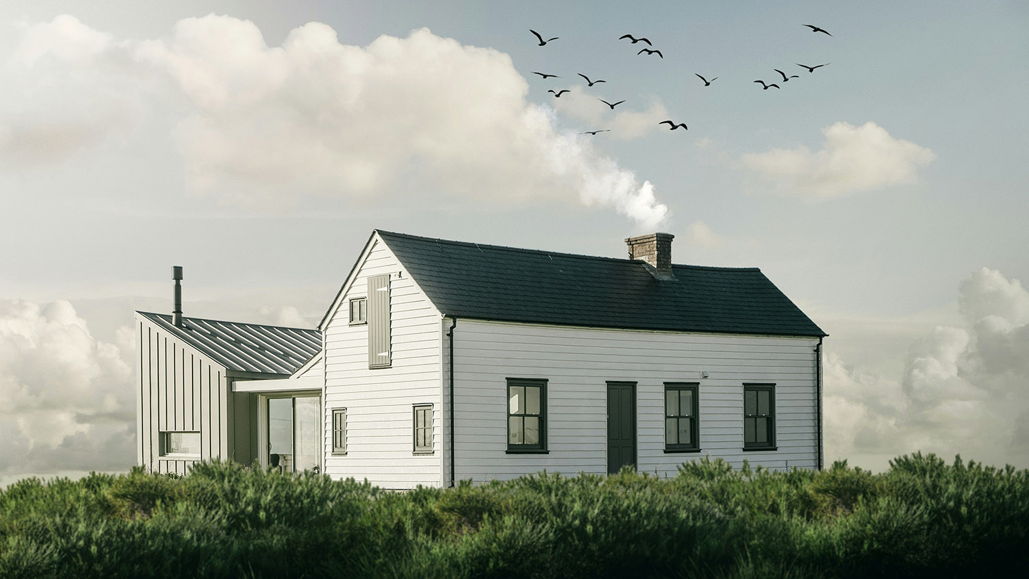 Stop Birds from Hitting Your Windows: Protect Your Home and Feathered Friends