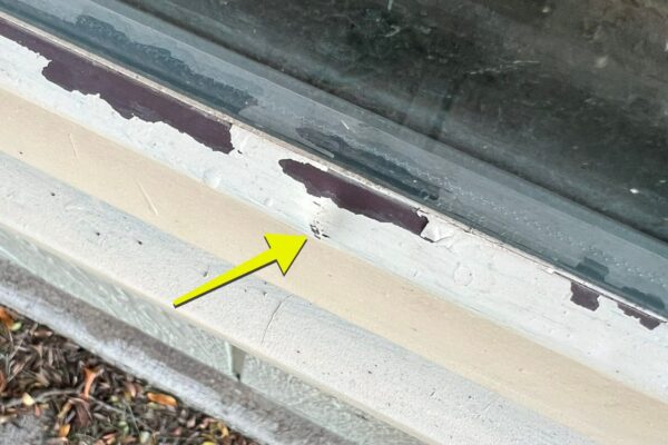 hail damaged window